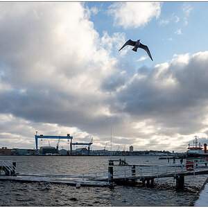 054 Blick über die Kieler Innenförde