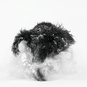 Schneemonster