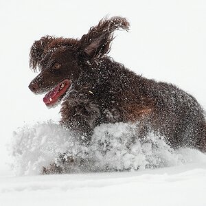 Winterfreuden