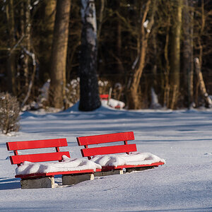 Schneebänke (1 von 1).JPG