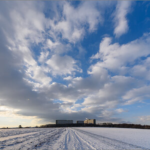 D75_2932.jpg