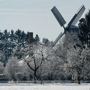PANA6052_DxO1200.jpg
