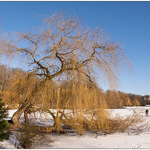 065 Schrevenpark am Vormittag mit Wintersonne