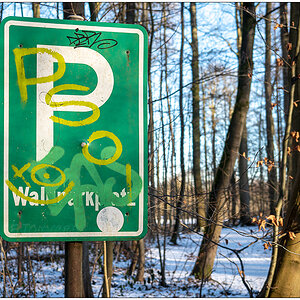 069 Tiergehehe Hasseldieksdamm Parkplatz