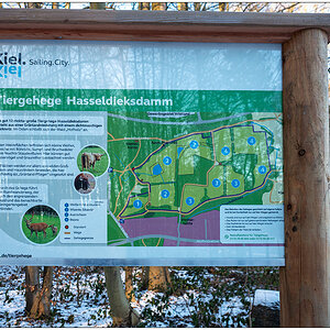 070 Tiergehehe Hasseldieksdamm Infotafel