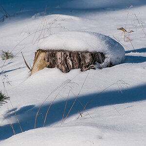 Schneemütze (1 von 1).JPG