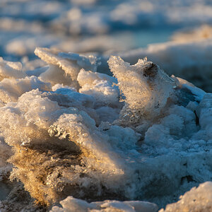 210213 Fedderwardersiel-22.jpg