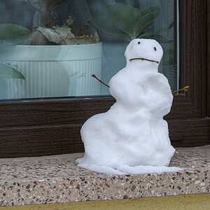 OF5_08341.jpg