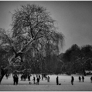 081 Schrevenpark – Abendspaziergang im Neuschnee IV