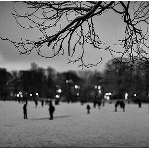 082 Schrevenpark – Abendspaziergang im Neuschnee V