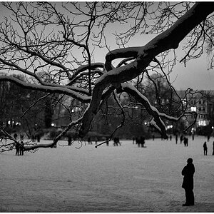 083 Schrevenpark – Abendspaziergang im Neuschnee VI