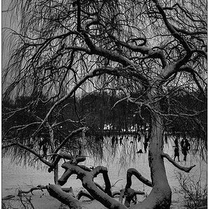 084 Schrevenpark – Abendspaziergang im Neuschnee VII