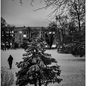 085 Schrevenpark – Abendspaziergang im Neuschnee VIII