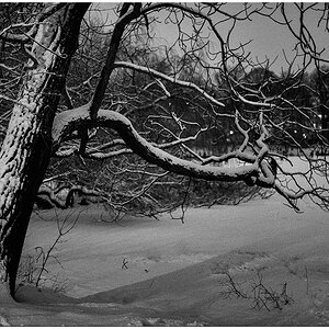 086 Schrevenpark – Abendspaziergang im Neuschnee IX