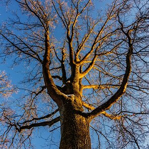 TZ_DSC02635_A.jpg