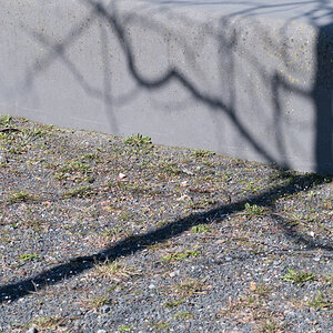 20170327-003.jpg