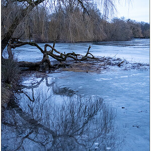 094 Schrevenpark – Rest vom Winterfest