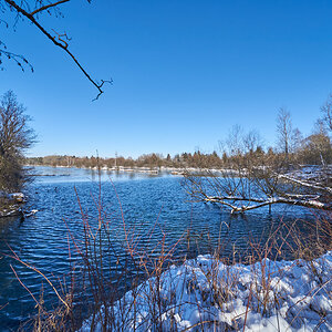 _AB77090.jpg