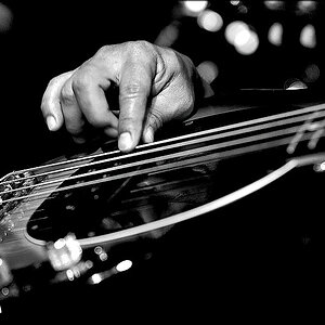 comp_guitar-sw.jpg