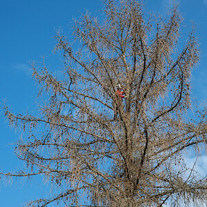 Z6H_0067.jpg