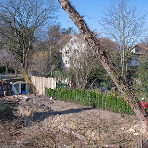 Z6H_0124.jpg