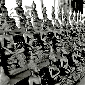 comp_Buddhas SW.jpg