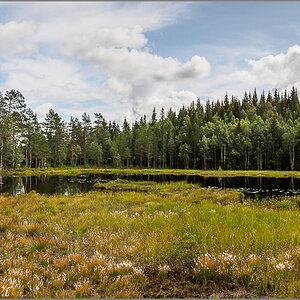 P8130171-Pano.jpg