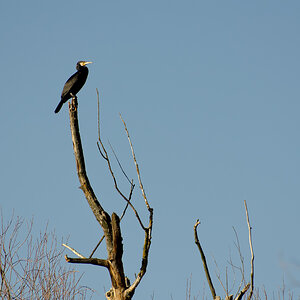 _DSC9364-Bearbeitet.jpg
