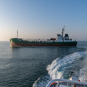 210303 Majestic Maersk Odyssey of the Seas-4.jpg