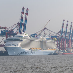 210303 Majestic Maersk Odyssey of the Seas-10.jpg