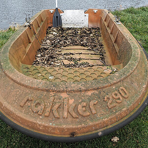 rakker 290.jpg