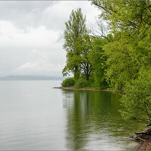 Mainau_Mai_2013-132.jpg