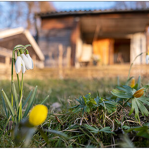 112 Frühling in der Bünte