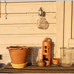 114 Stillleben in Abendsonne