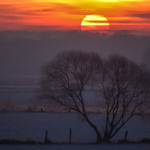 29.01.06 Sonnenaufgang (1 von 1).JPG