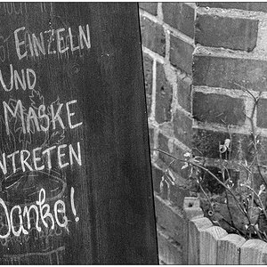 115 Bitte nur einzeln ... Anschnitt Schwarzweiß I