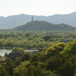 DSC_9261_01.JPG