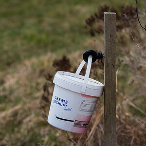 Cremejoghurt (1 von 1).JPG