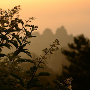 DSC_9957_01.JPG