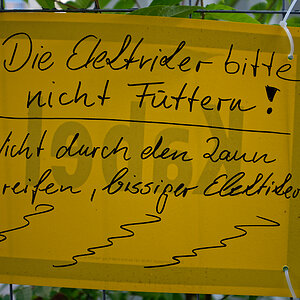 Bitte nicht füttern.jpg