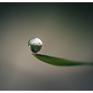 Ich fang mir eine kleine Welt