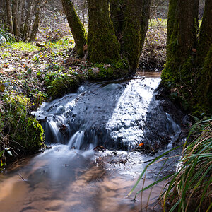 Z62_0714.jpg