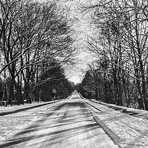 TZ_024_25.jpg