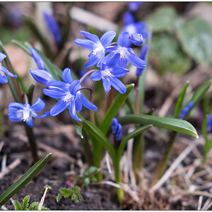 127 Frühling in der Bünte