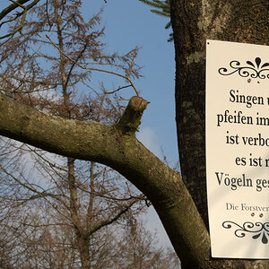 Schild_wald.jpg
