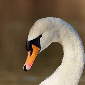 PANA0794_DxO1200.jpg