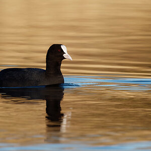 PANA1189_DxO1200.jpg