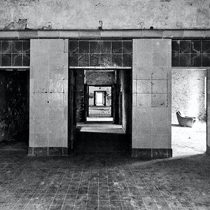 DSC_4201.jpeg