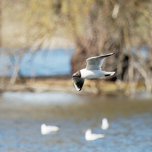 P3281945_DxO1200.jpg