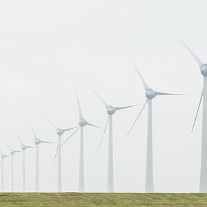 Holland-6858klein.jpg